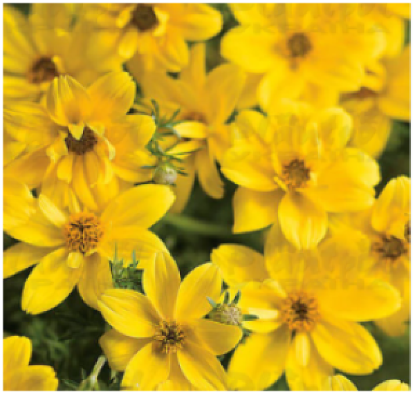 Снимок экрана 2025-10-18 194037_300x300